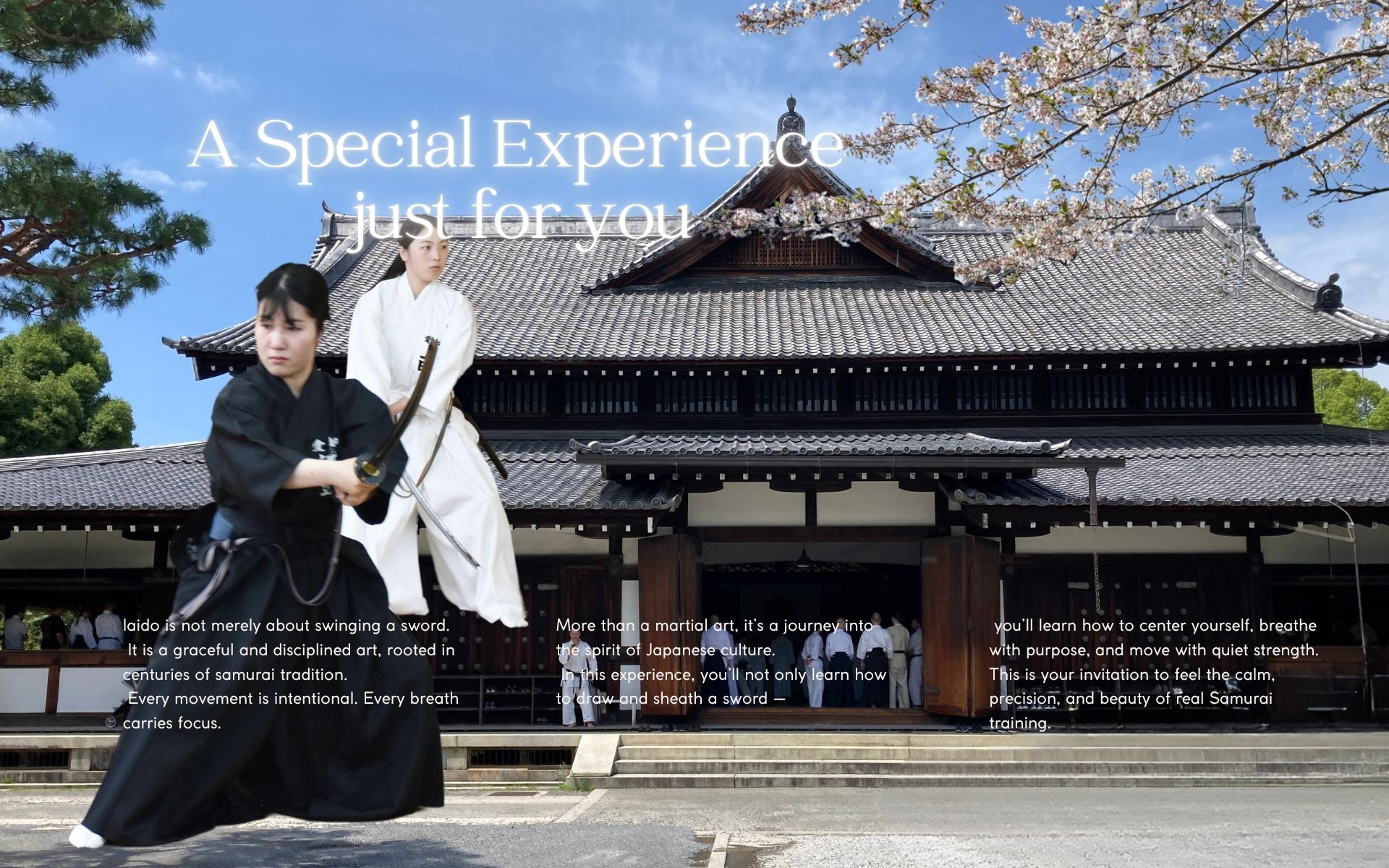 A Special Experience just for you